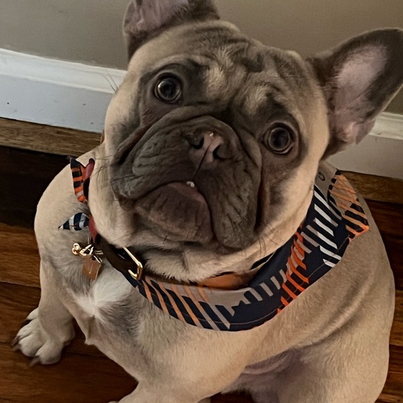 penny10berry